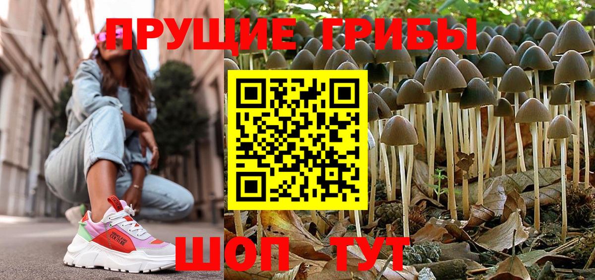 Галлюциногенные грибы Psilocybine cubensis  Вход с VPN  Пыть-Ях 